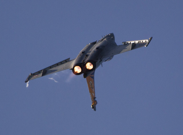 Dassault_Rafale_1.jpg